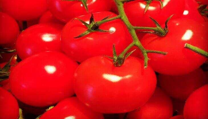 Tomato prices declined by 22% 