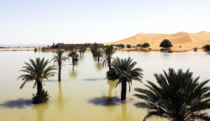 Sahara Desert Flooded for First Time in 50 Years: Climate Change Turns the Heat into a Deluge!