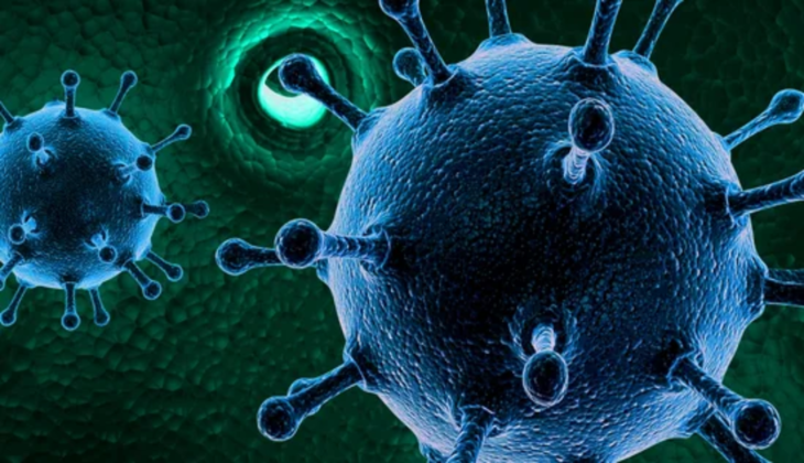 HMPV Cases in China Surge: What You Need to Know About This Respiratory Virus