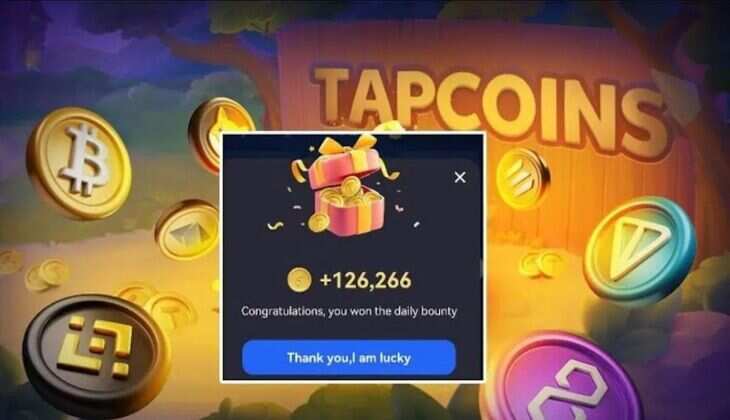 TapCoin Daily Bounty Cards Today October 29