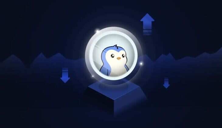 Pudgy Penguins Partners with Boring Security DAO to Educate NFT Users