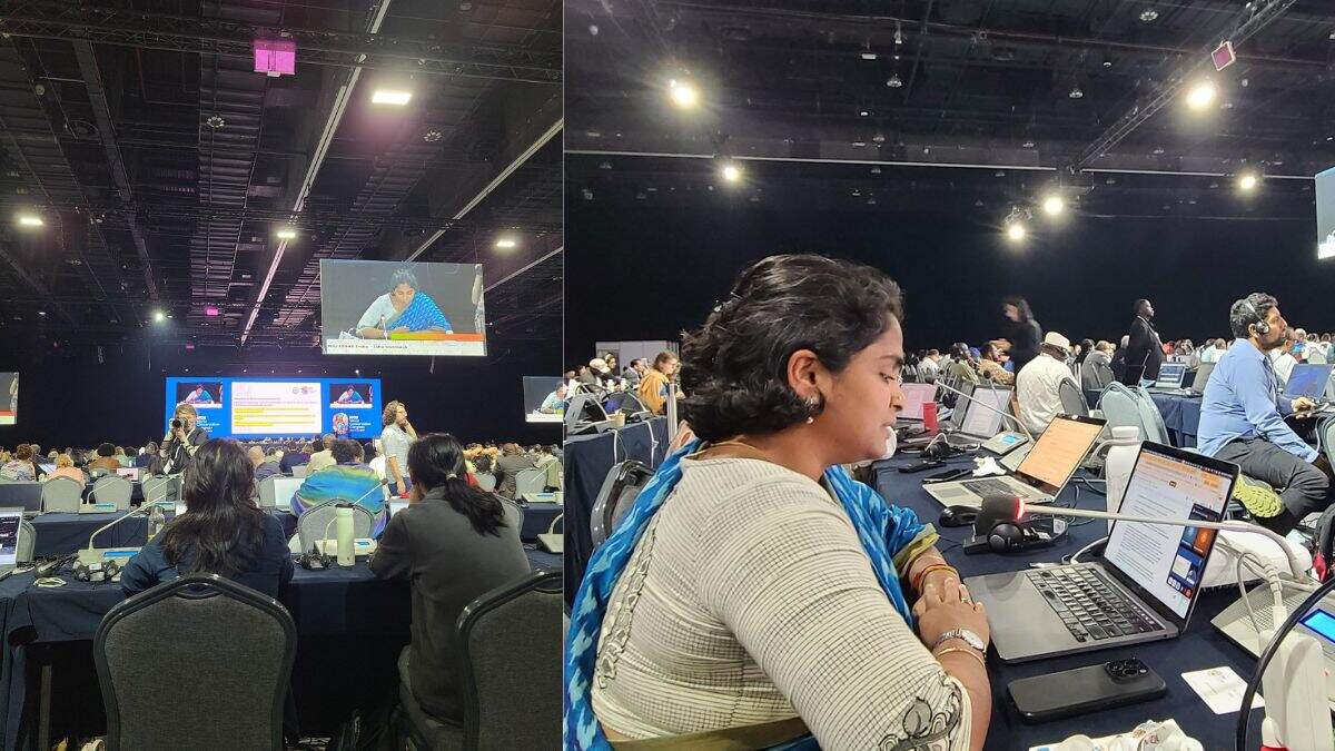 IUCN Adopts World’s First Soil Security Law, Co-Sponsored by Save Soil