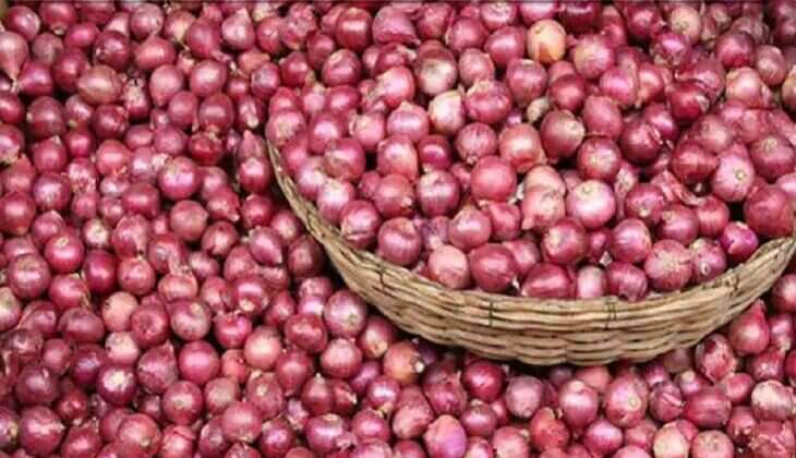 Onion Price Hike: Government&rsquo;s Plan to Provide Relief to Delhi-NCR Residents Amid Festive Season Surges