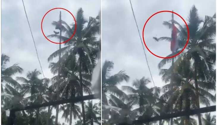 Viral Video of a Bird 'Unfurling' the Indian Flag: A Closer Look at the Truth