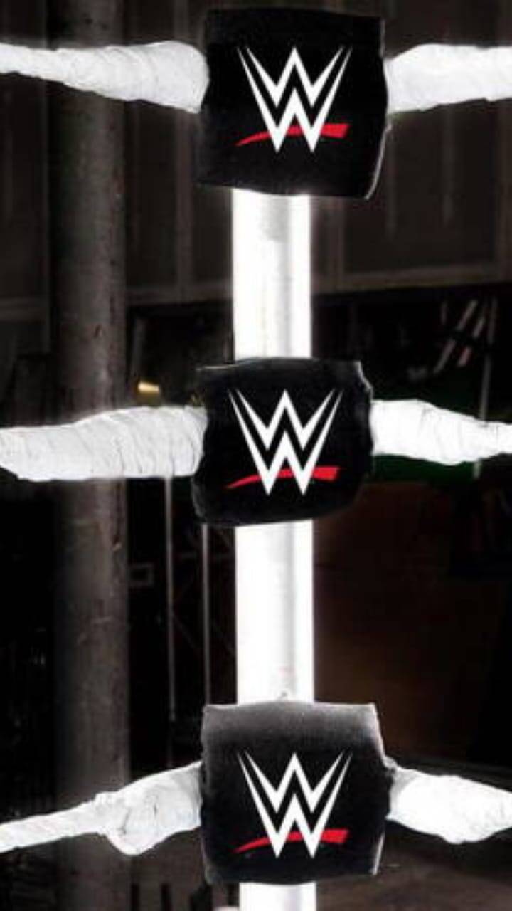 WWE Star Salaries And Fees Explained wwe-star-salaries-and-fees-explained