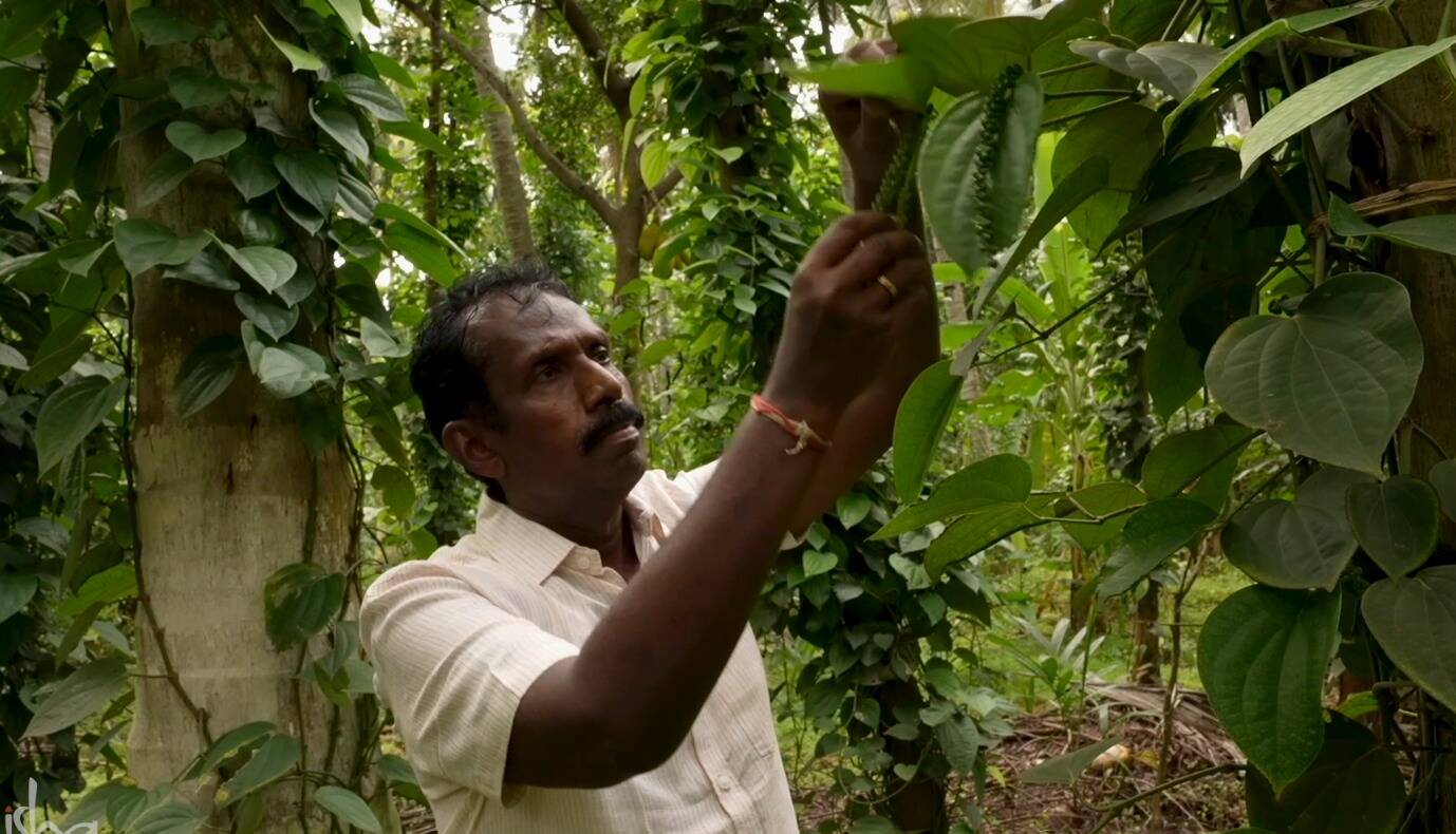 Save Soil Movement