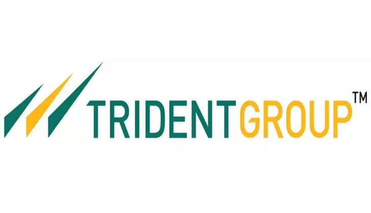 Trident Ltd Share Price Soars 12.15%: Targets ₹38-₹40 - Read Now&nbsp;