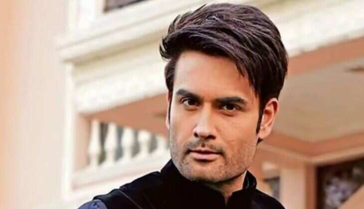 Bigg Boss 18’s Vivian Dsena