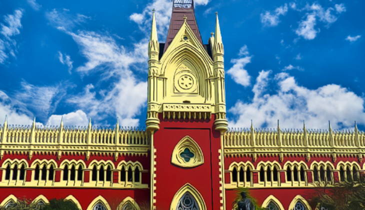 kolkata High Court&rsquo;s Live Stream Shocker: Explicit Video Interrupts Judge&rsquo;s Hearing, Triggers IT Scramble