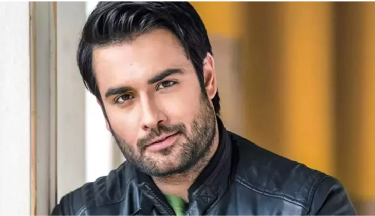 Vivian Dsena in Bigg Boss
