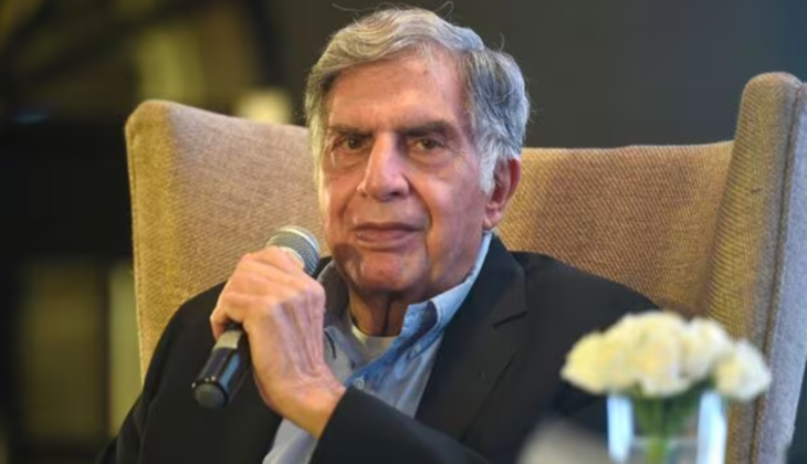 Ratan Tata Held 0.83% Stake in Tata Sons, Net Worth at Rs 7,900 Crore