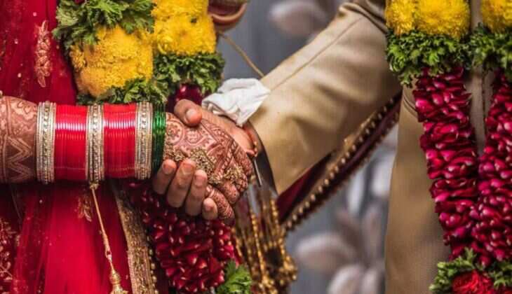 Wedding Season Stock 2024: Bharat Agri Fert & Realty Soars on CAPEX Announcement - Read Now