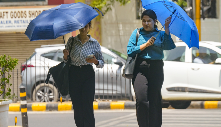 Delhi Weather: January Heat Breaks 6-Year Record, Why is the Climate Changing?