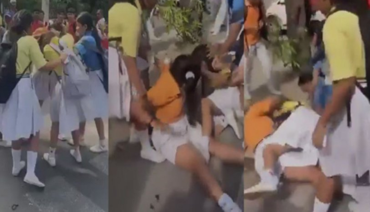 Noida's Modern School Viral Video