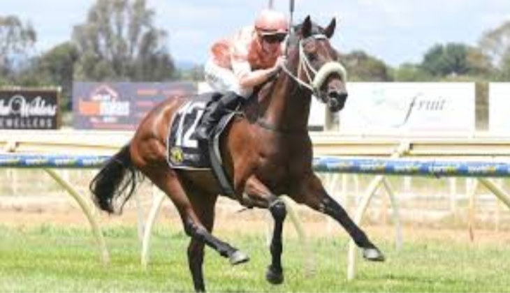 Persian Caviar Debut Win: Black Caviar&rsquo;s Daughter Shines at Wangaratta
