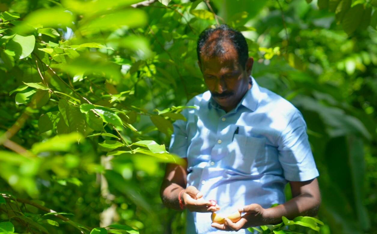 Save Soil Movement