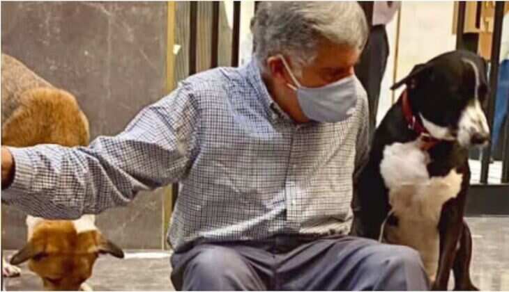 Ratan Tata: The Compassionate Leader Who Loved Stray Dogs