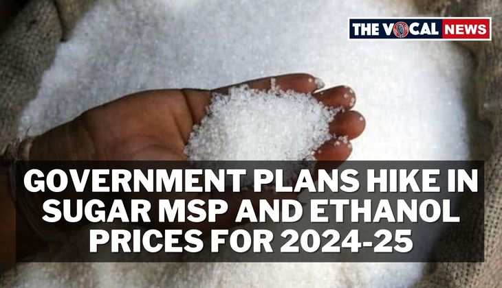 Government Plans Hike in Sugar MSP and Ethanol Prices for 2024-25