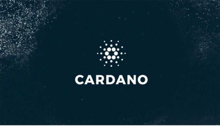 Cardano Whales Accumulate $289M in ADA &ndash; But Price Still Below $0.70