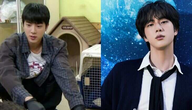 Despite His Allergy, BTS&rsquo;s Jin Shines as a Hero for Rescue Dogs &ndash; Here&rsquo;s How!