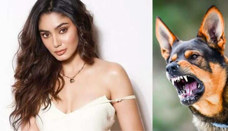 Sana Makbul Accident: Dog Bite on Face, 121 Stitches, Surgery &ndash; Bigg Boss OTT 3 Winner's Traumatic Story