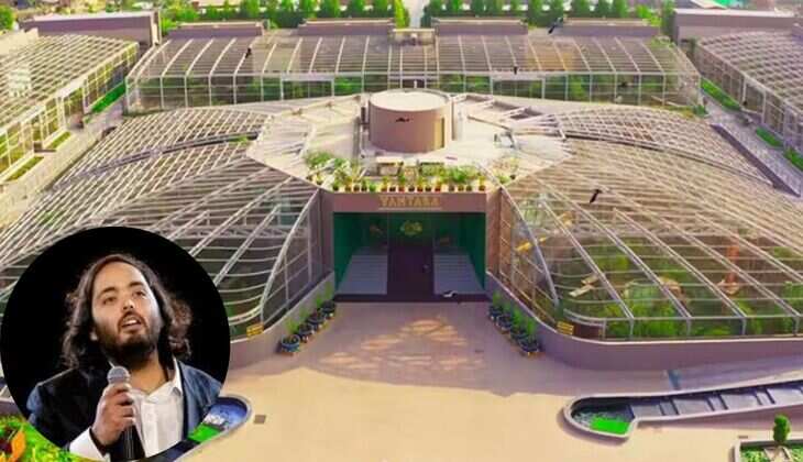 Did Media Delete Reports Criticizing Anant Ambani&rsquo;s Vantara?