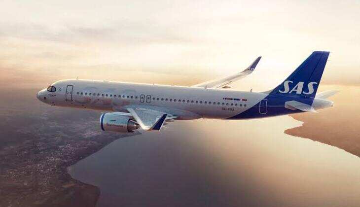 Mid-Air Mouse Drama: Scandinavian Airlines Flight Makes Emergency Landing After Passenger Finds Live Rodent in In-Flight Meal—A Shocking Twist in Air Travel Safety!