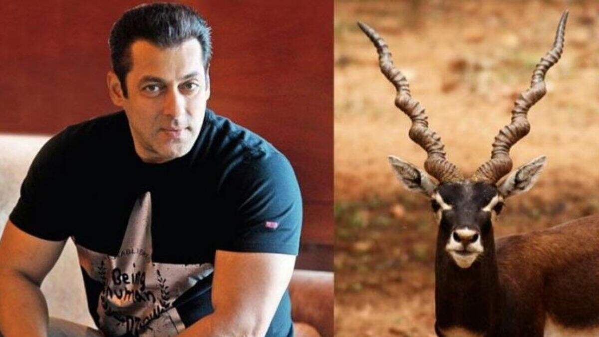 Bishnoi Community’s Surprising Demand Will They Salman Khan