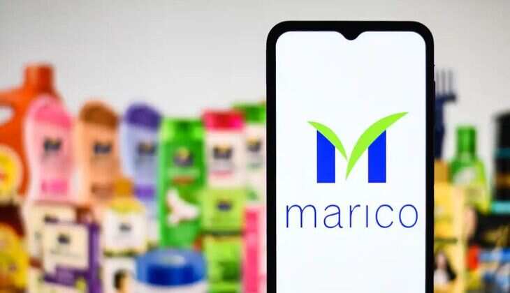 Marico Shares Drop 4% as BSE FMCG Index Falls by 1.9%