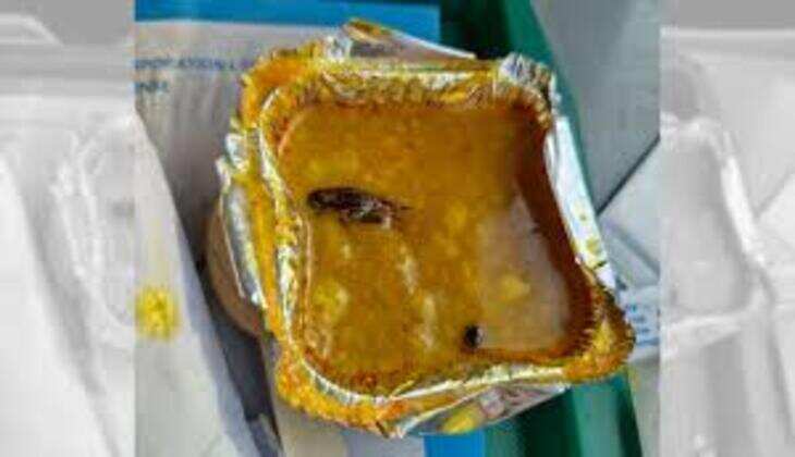 Vande Bharat Dal Cockroach