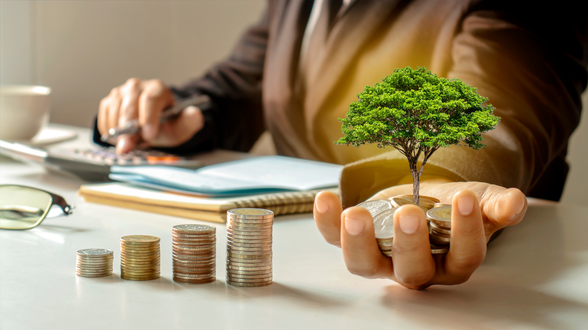 Top 7 SBI Mutual Funds That Turned ₹25,000 into ₹17.73 Lakh in Just 3 Years!