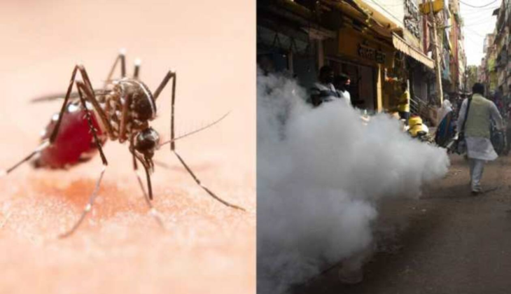 Dengue Alert in Gurugram: 24 New Cases, 17,000 Homes Served Notices—Take Action Now