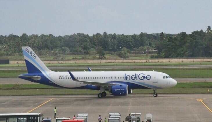IndiGo CEO Declares End to Aircraft Grounding Issues: Expecting Fewer Than 50 by March 2025 - Read Now&nbsp;
