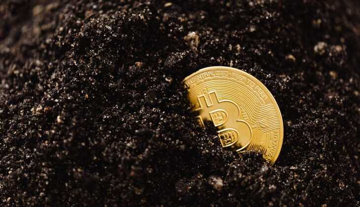 The 2024 Crypto Landscape: Pros, Cons, and What You Need to Know