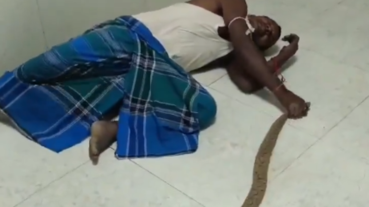 Snake Bite Drama: Bihar Man Walks Into Hospital Holding Live Russell's ...