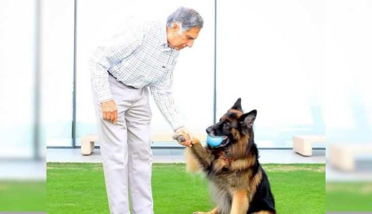 Tito the Dog Becomes ₹10,000 Crore Heir: Ratan Tata’s Heartwarming Legacy - Read Now