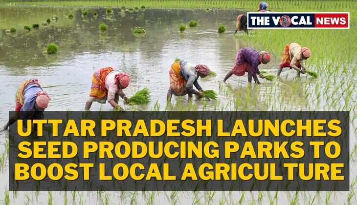 Uttar Pradesh Launches Seed Producing Parks to Boost Local Agriculture