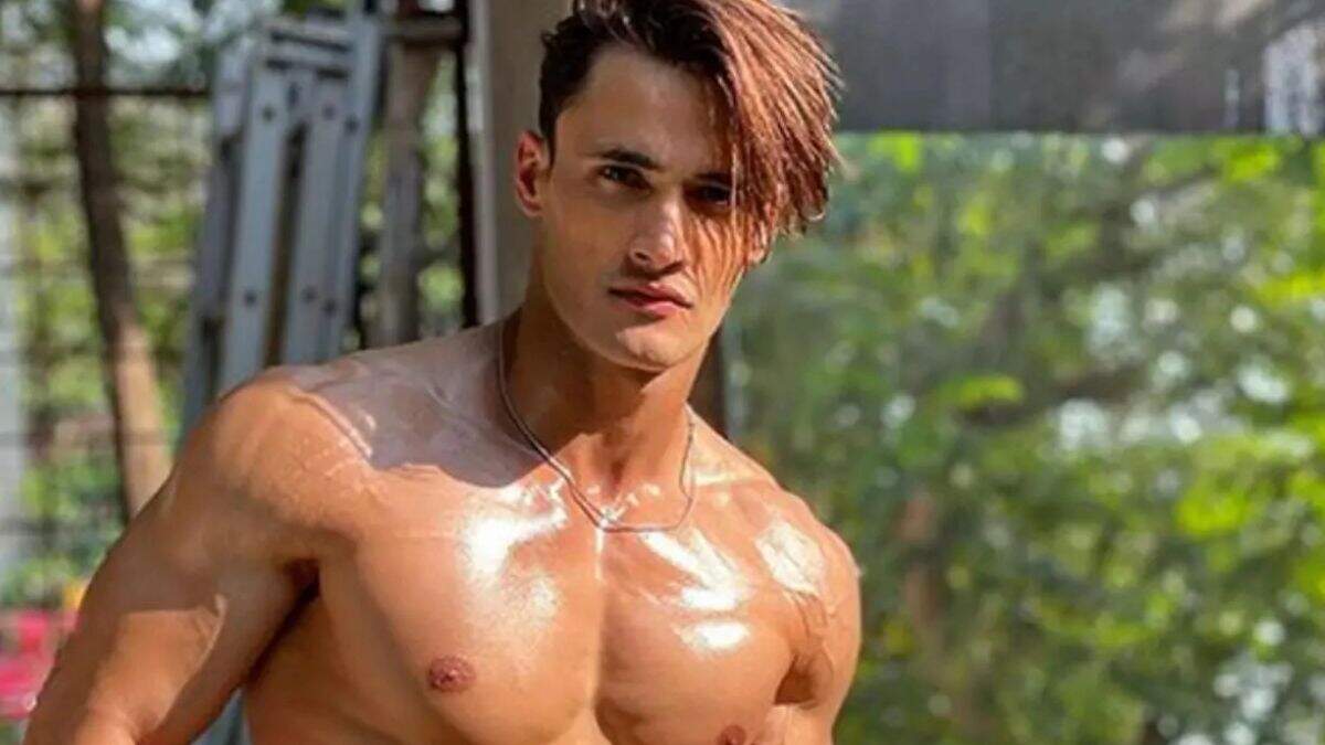 Asim Riaz: Ex-Khatron Ke Khiladi 14 Contestant's Net Worth, Girlfriend ...