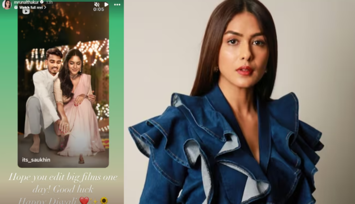 Mrunal Thakur Reacts to Fan&rsquo;s Edited Diwali Pic, Deletes Comment, Then Praises His Talent!