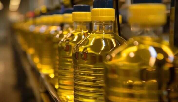 Food Oil Prices Soar Pre-Diwali: Import Duty Hike Impacts Household Budgets - Read Now