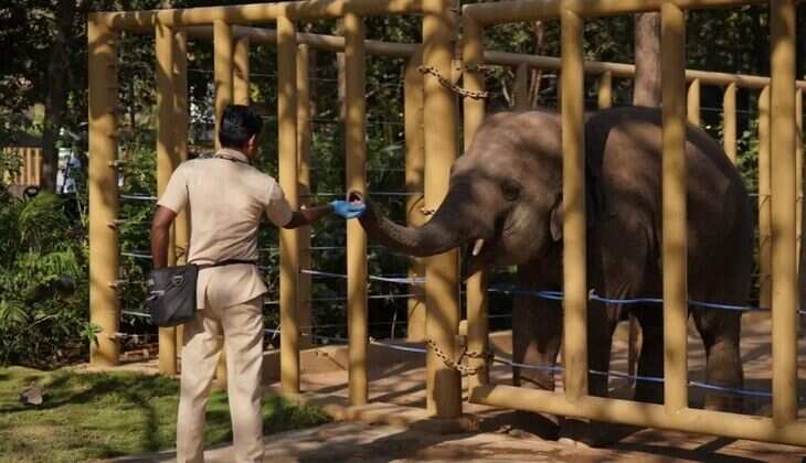 Vantara Sets Global Benchmark in Animal Care&nbsp;