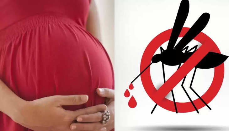 Dengue During Pregnancy: गर्भावस्था के दौरान डेंगू हो सकता है जानलेवा, जानिए लक्षण,और बचाव के तरीके